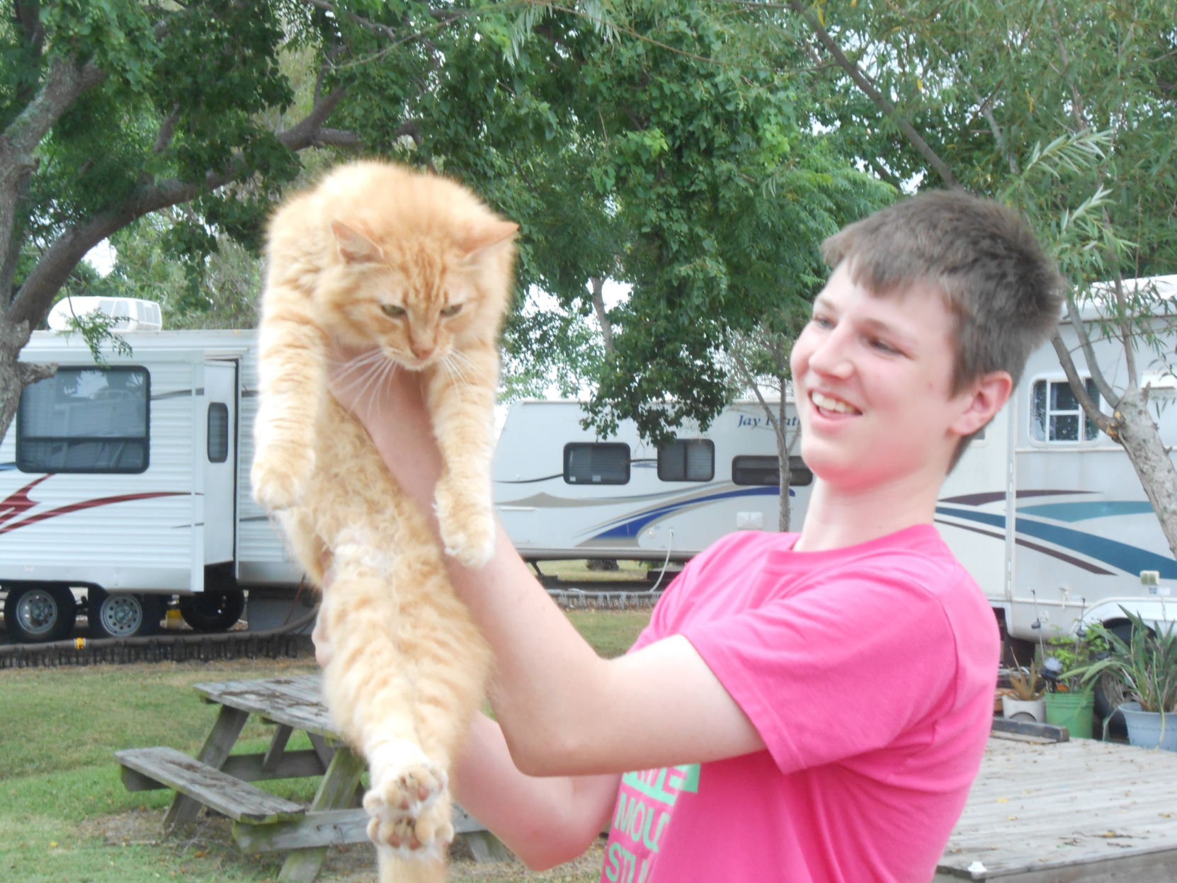 Cat selfies: James and Pyro